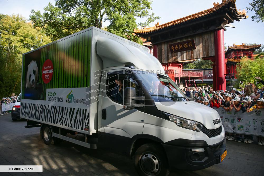 THE NETHERLANDS-RHENEN-GIANT PANDA-FAN XING-FAREWELL