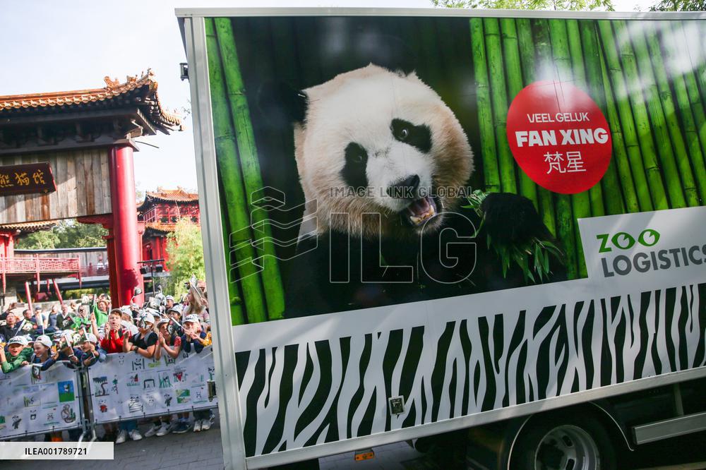 THE NETHERLANDS-RHENEN-GIANT PANDA-FAN XING-FAREWELL