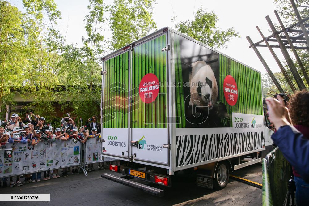 THE NETHERLANDS-RHENEN-GIANT PANDA-FAN XING-FAREWELL