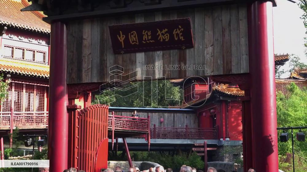 "Bye-bye Fanxing!" -- Giant panda born in Dutch zoo leaves for China