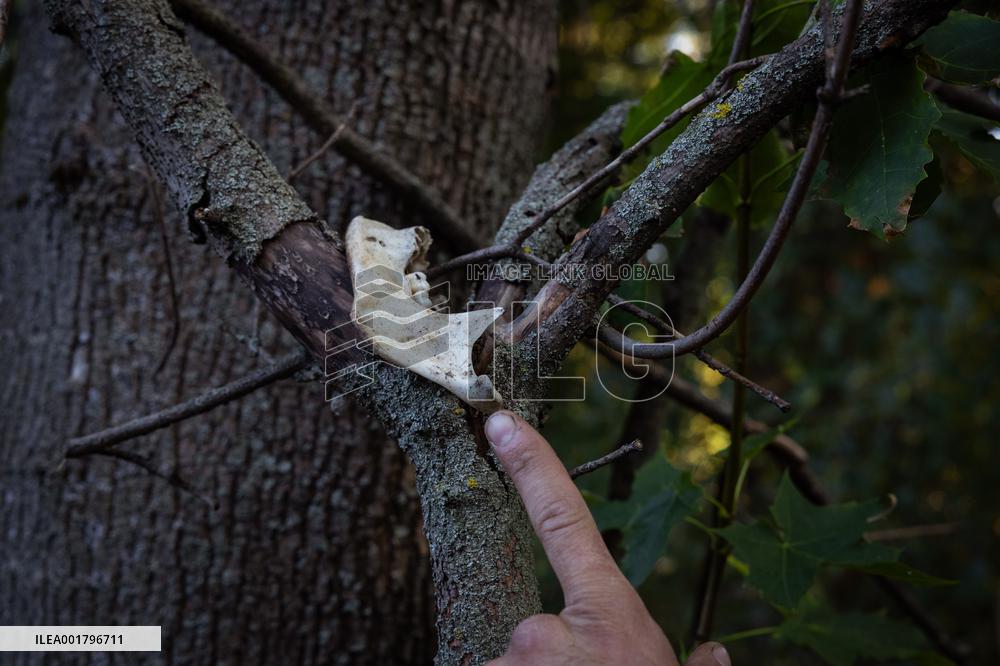 Platsdarm search team body collectors