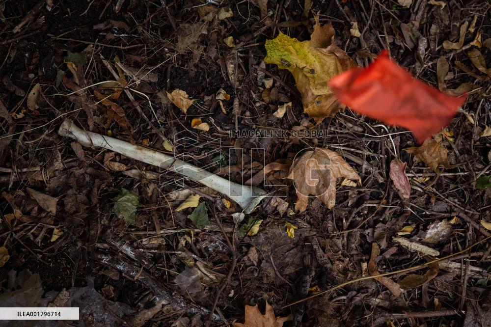 Platsdarm search team body collectors