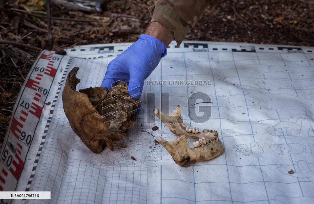 Platsdarm search team body collectors