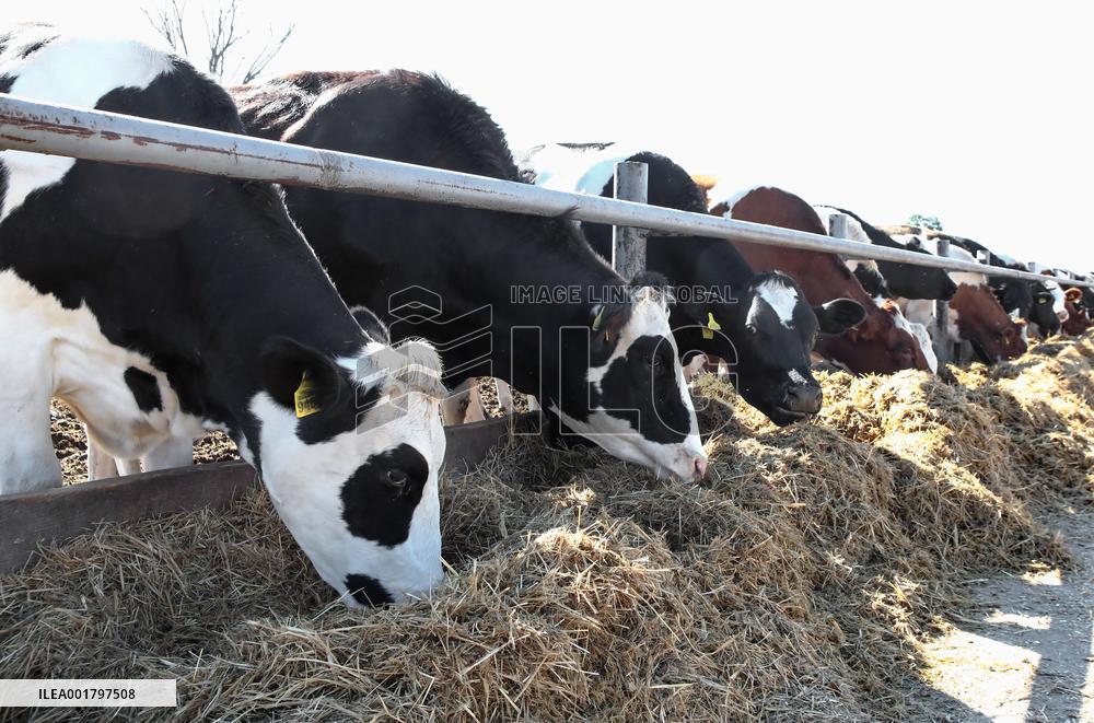 Farm in Chernihiv Region damaged in Russian shelling