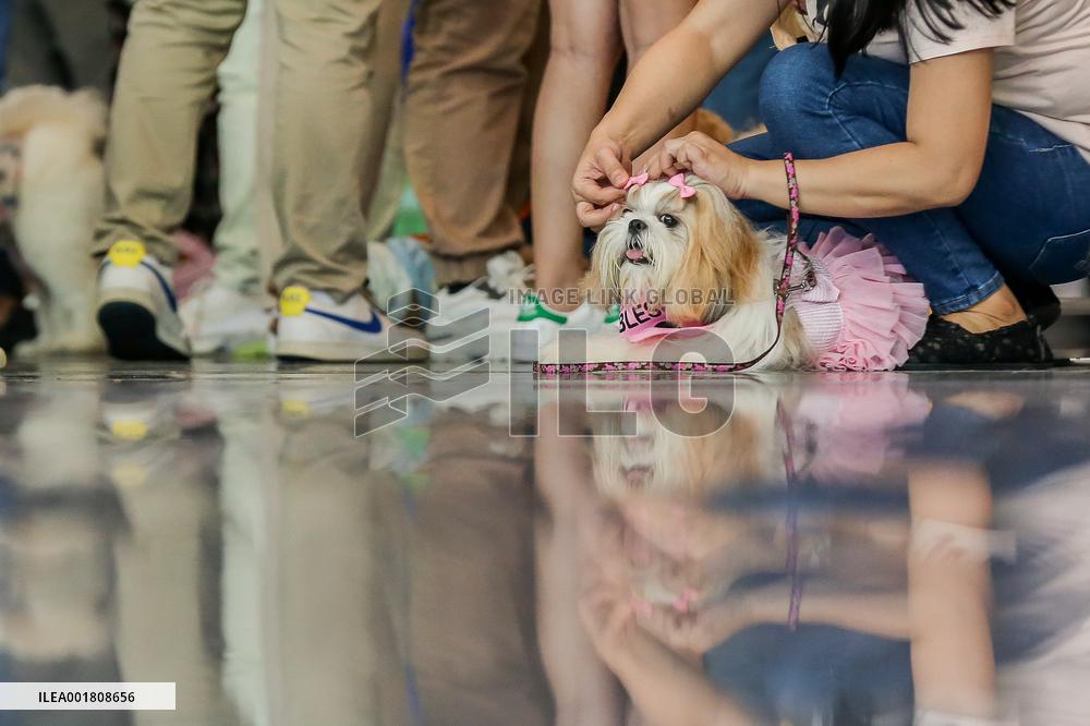 PHILIPPINES-PASAY CITY-WORLD ANIMAL DAY-EVENT