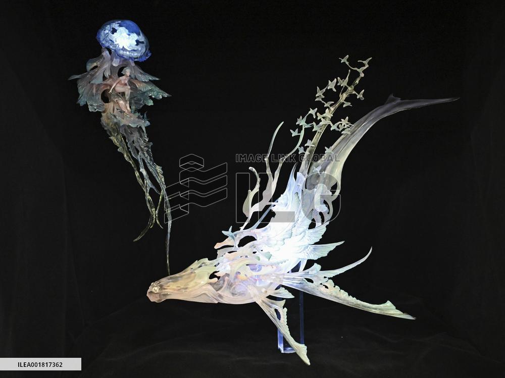 Wonder Festival 2022-2023 Held in Shanghai