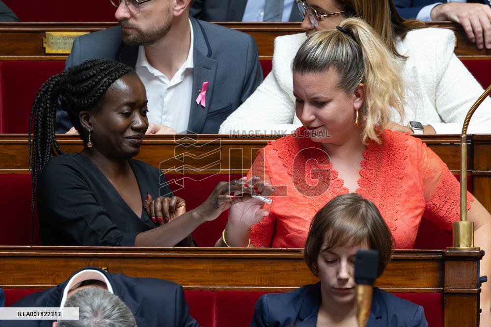 Questions to the goverment at the National Assembly - Paris