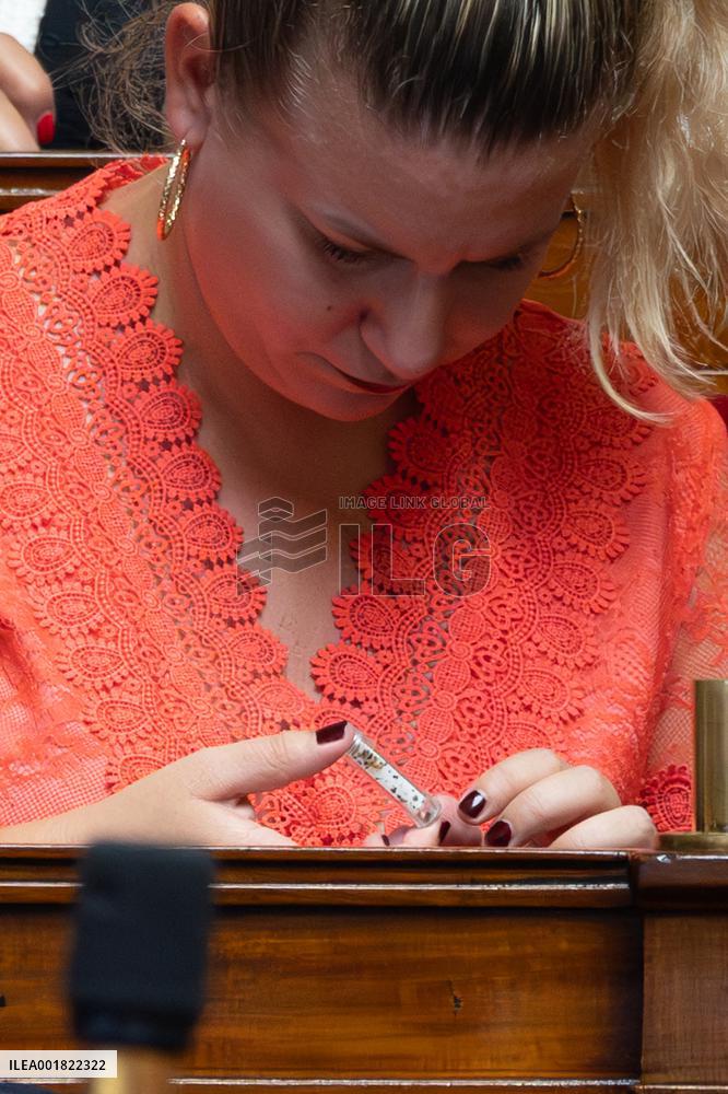 Questions to the goverment at the National Assembly - Paris