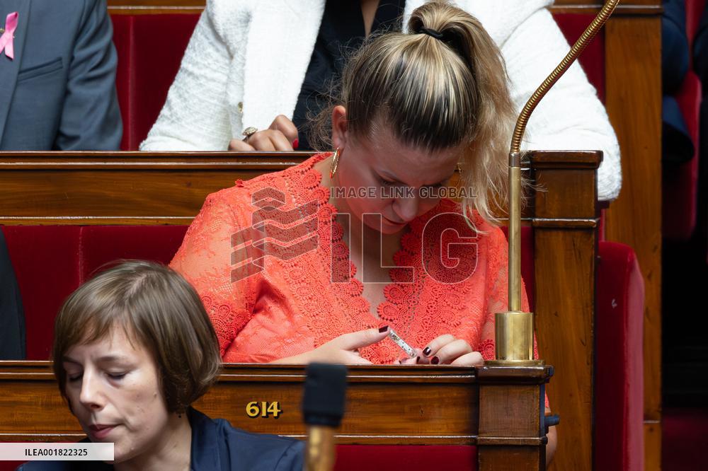 Questions to the goverment at the National Assembly - Paris