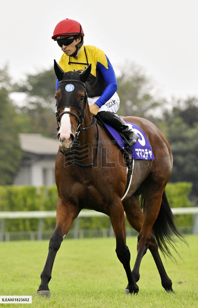 Horseracing: Sprinters Stakes