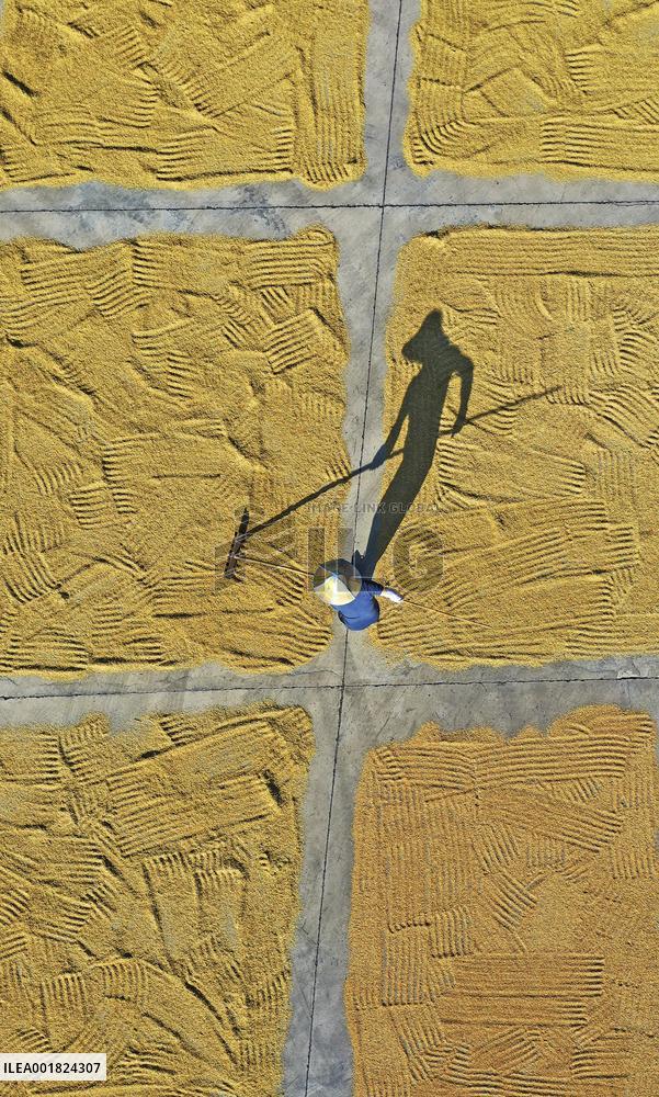 #CHINA-AUTUMN-HARVEST (CN)