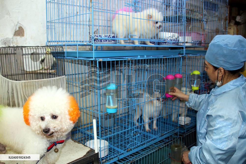 Pet Hotel in Suzhou