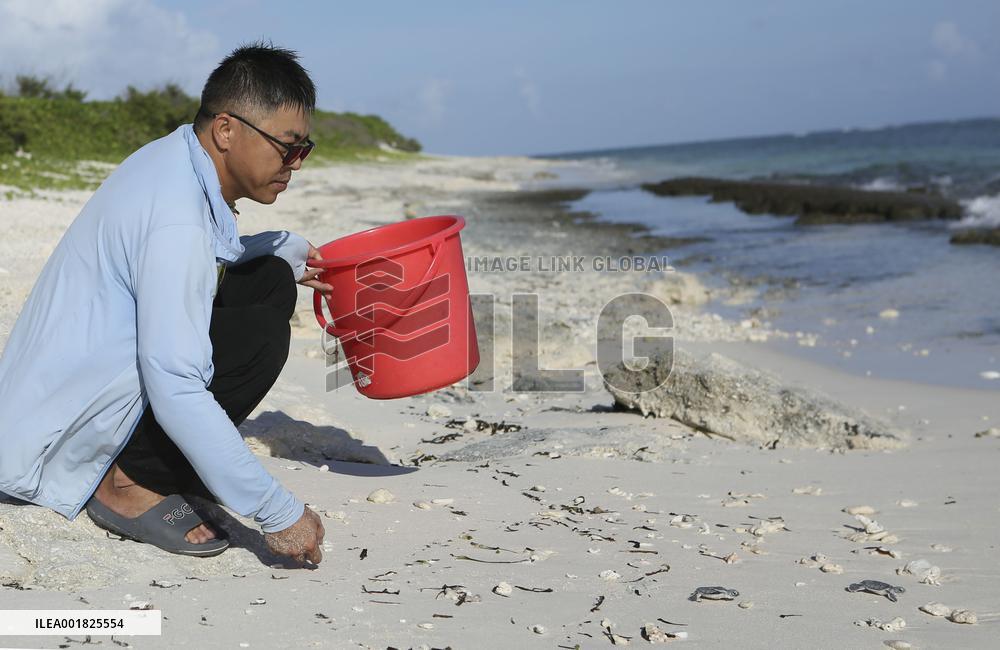 CHINA-HAINAN-SANSHA-SEA TURTLE PROTECTION (CN)