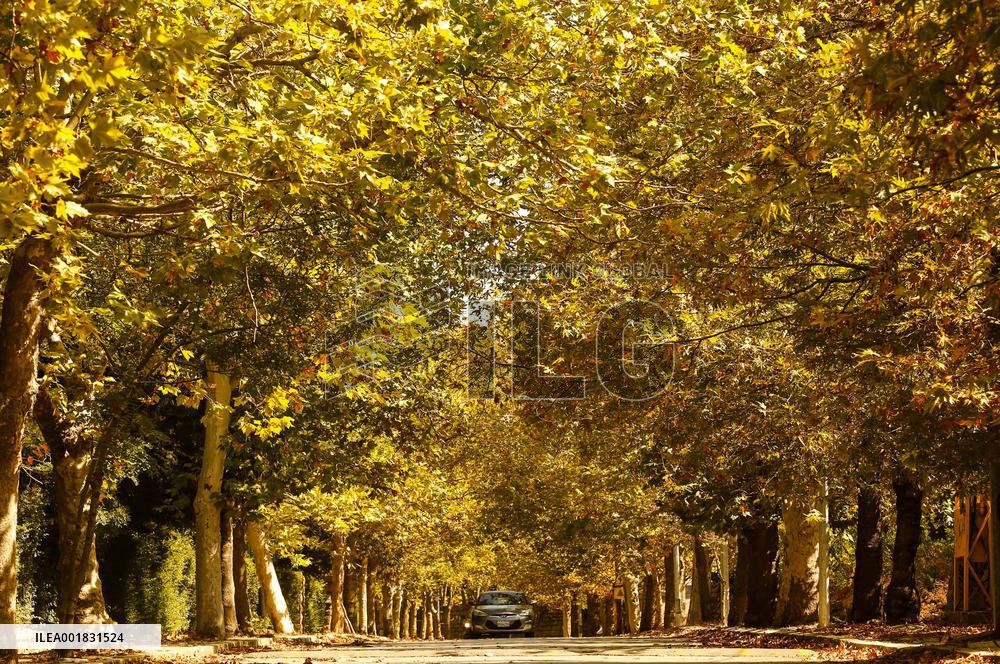 LEBANON-SAWFAR-FALL-FOLIAGE