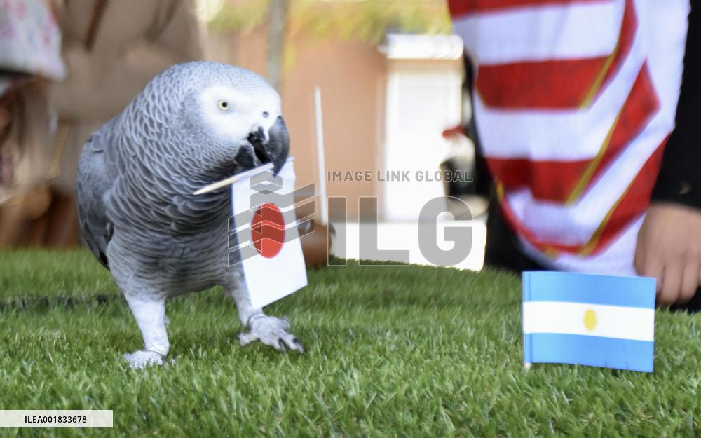 Rugby: Parrot predicts Japan win against Argentina