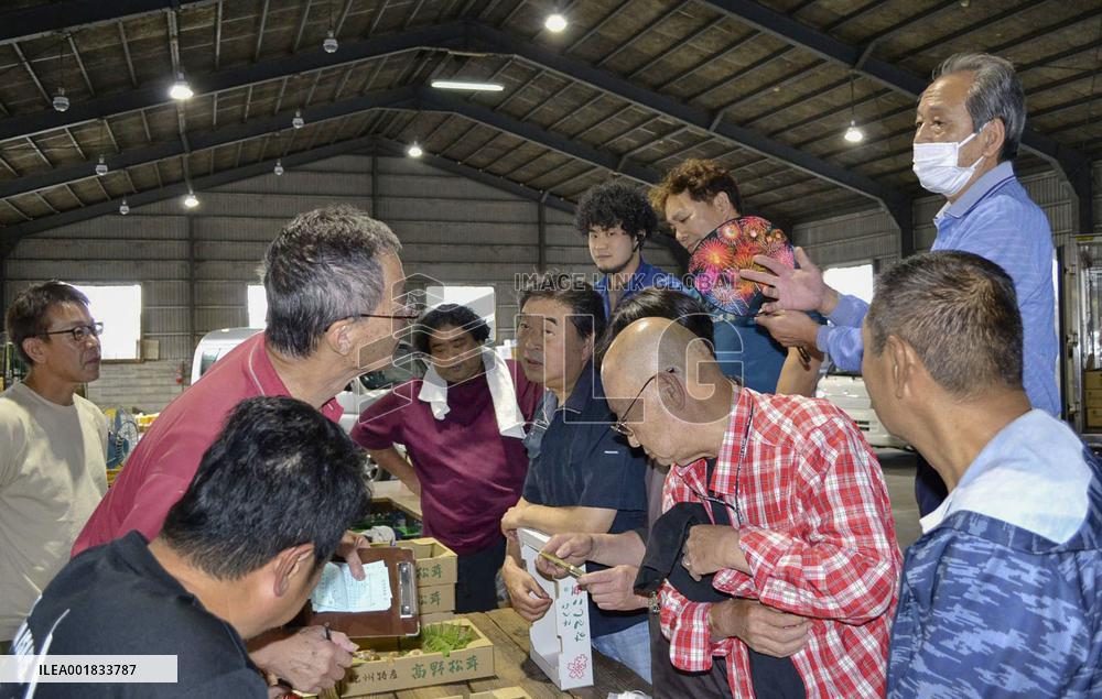 "Matsutake" mushrooms at Wakayama market