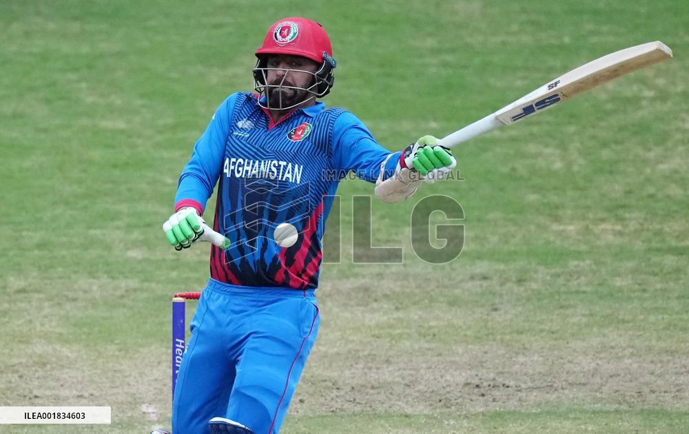 (SP)CHINA-HANGZHOU-ASIAN GAMES-CRICKET (CN)