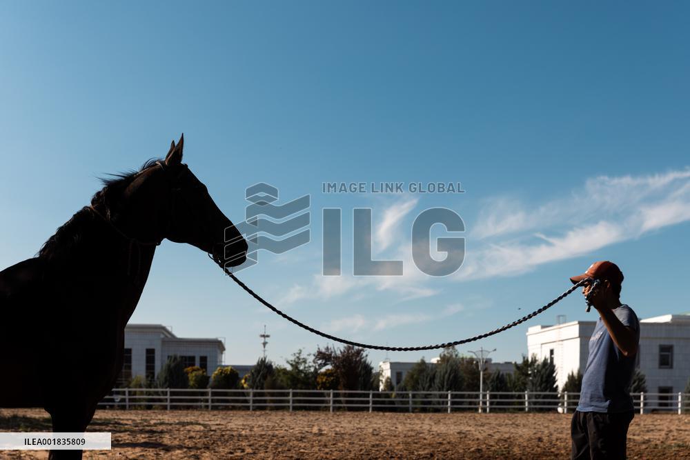 TURKMENISTAN-ASHKHABAD-AKHAL-TEKE HORSE