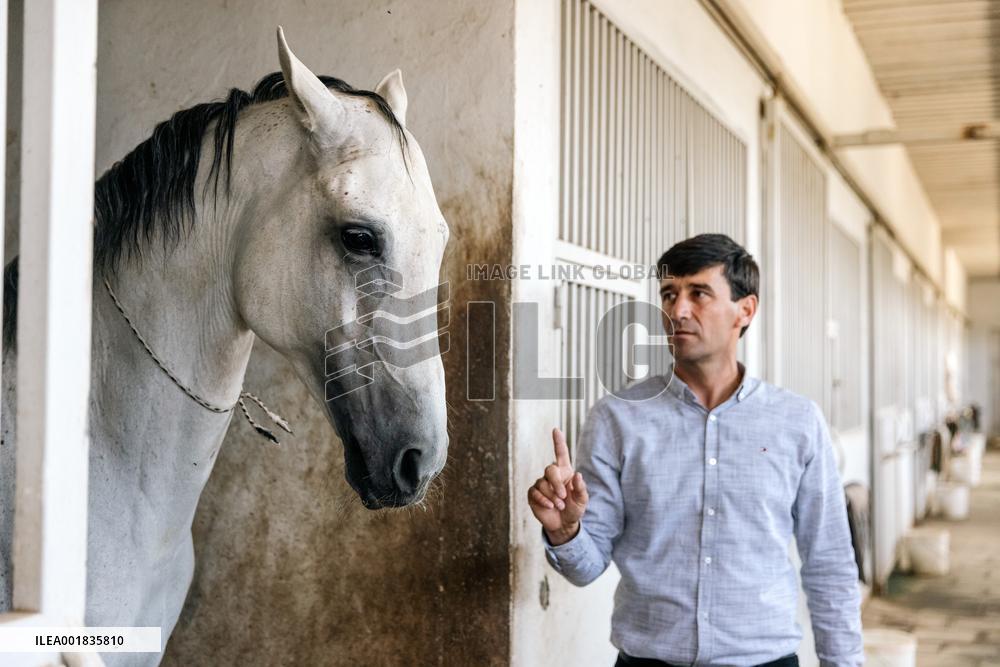 TURKMENISTAN-ASHKHABAD-AKHAL-TEKE HORSE
