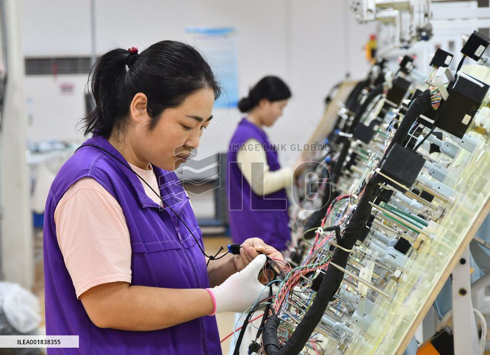 China Manufacturing Industry Car Wiring Harnesses