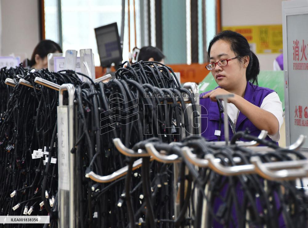 China Manufacturing Industry Car Wiring Harnesses