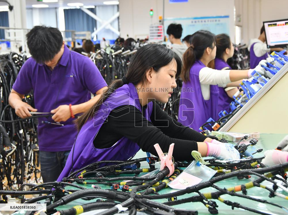 China Manufacturing Industry Car Wiring Harnesses