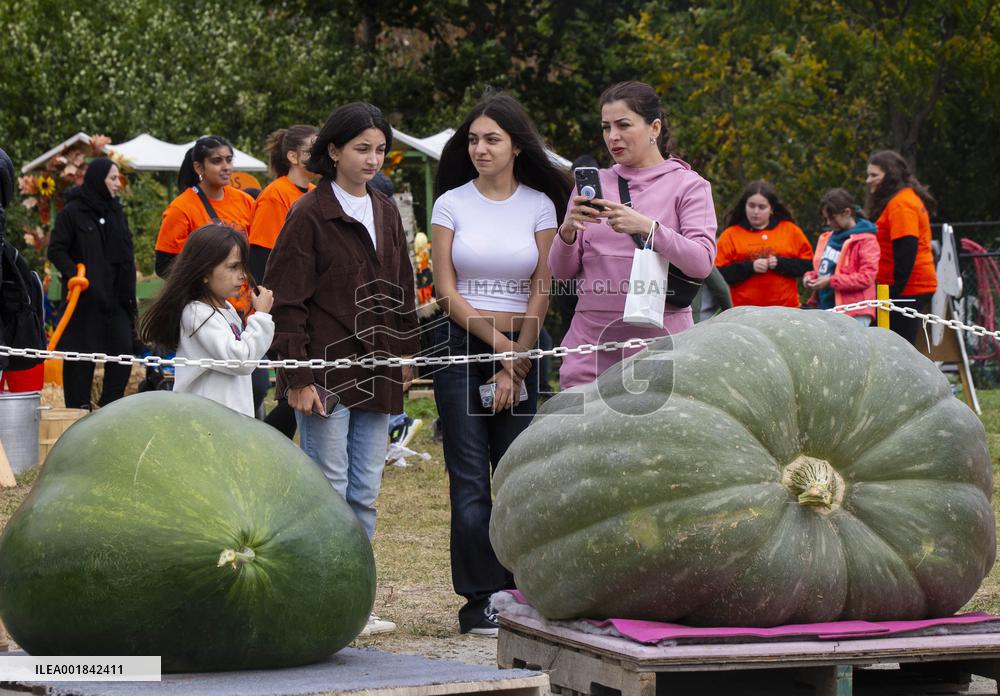 CANADA-ONTARIO-WOODBRIDGE-GIANT PUMPKIN CONTEST