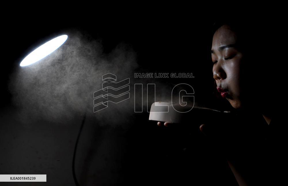 CHINA-HENAN-CHENGNI INKSTONE-INHERITOR (CN)