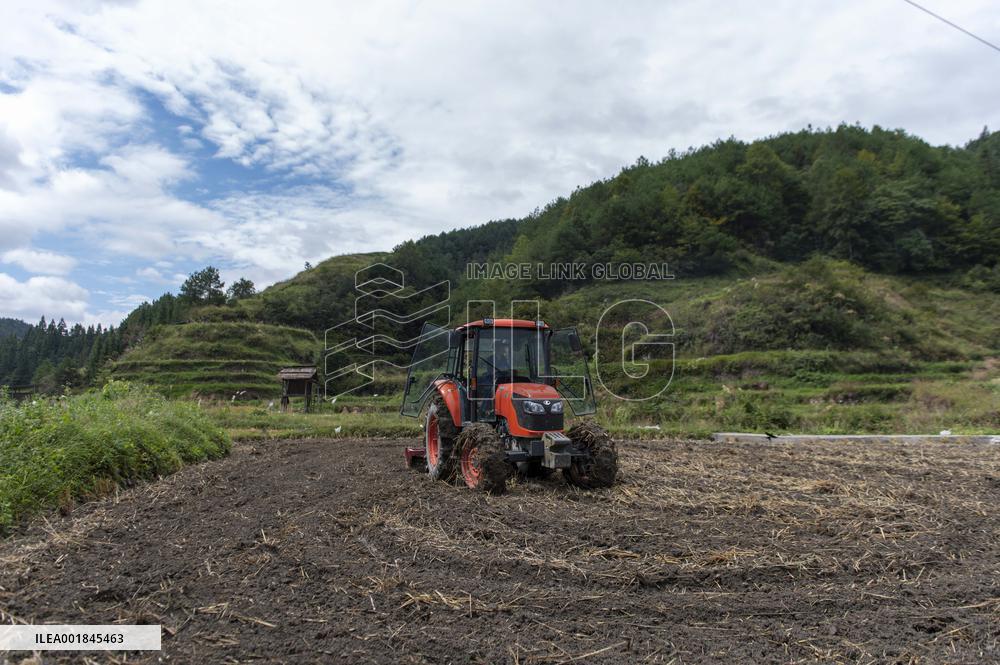 Farmers Plow Land in Congjiang