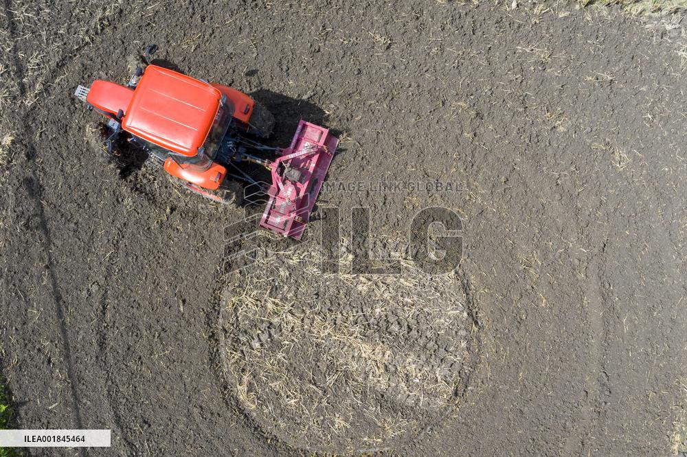 Farmers Plow Land in Congjiang