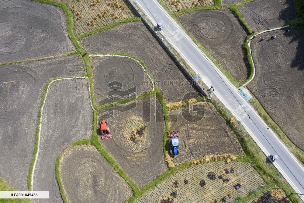 Farmers Plow Land in Congjiang