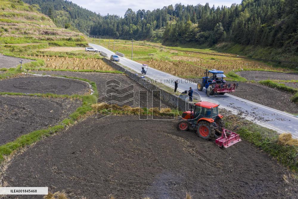 Farmers Plow Land in Congjiang
