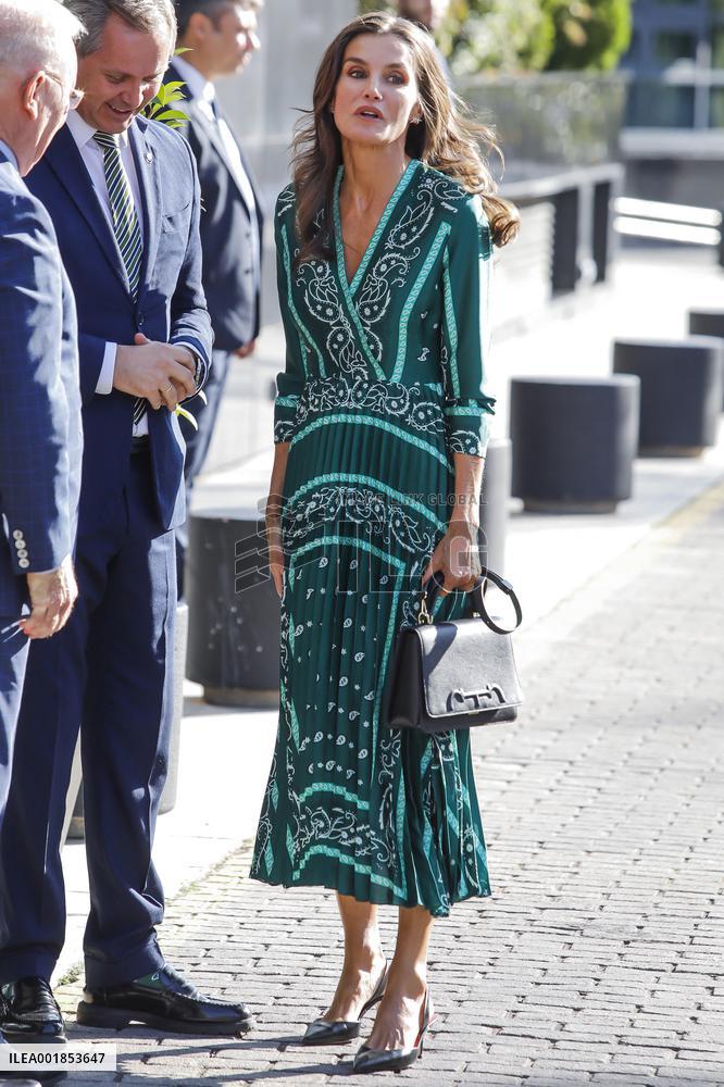 Queen Letizia At Mental Health Day Event - Madrid