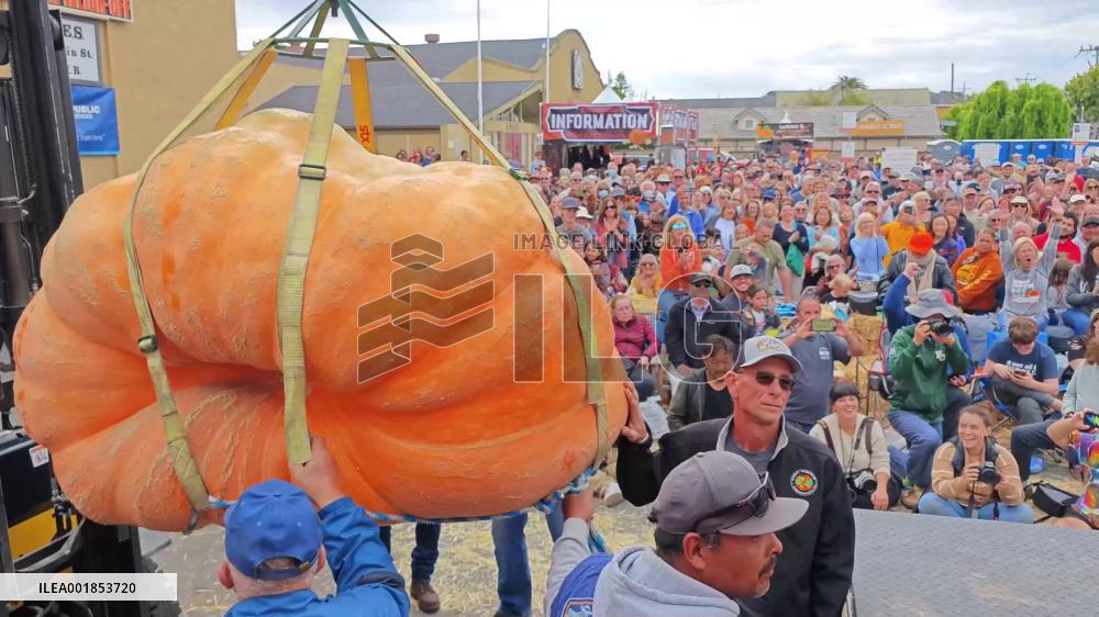 New world record set at Half Moon Bay's 50th annual pumpkin weigh-off