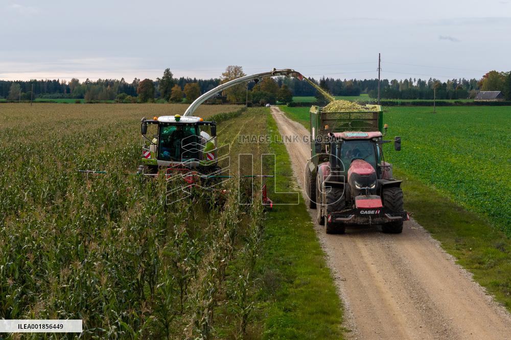 Harvesting field corn