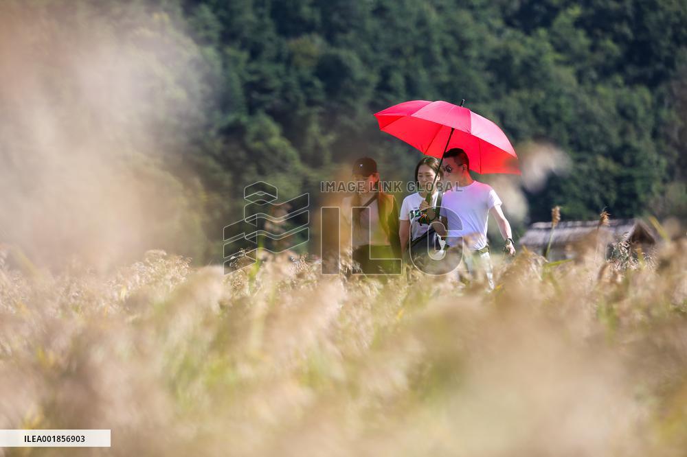 SOUTH KOREA-SUNCHEON-WETLAND-VIEW
