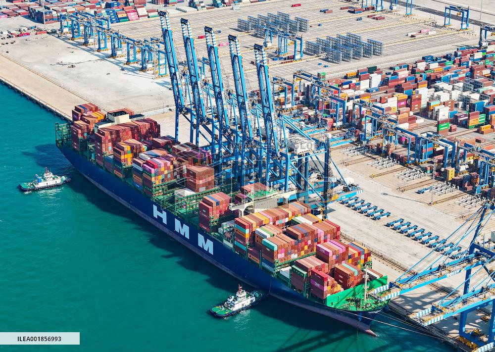 Qingdao Port Trade Growth