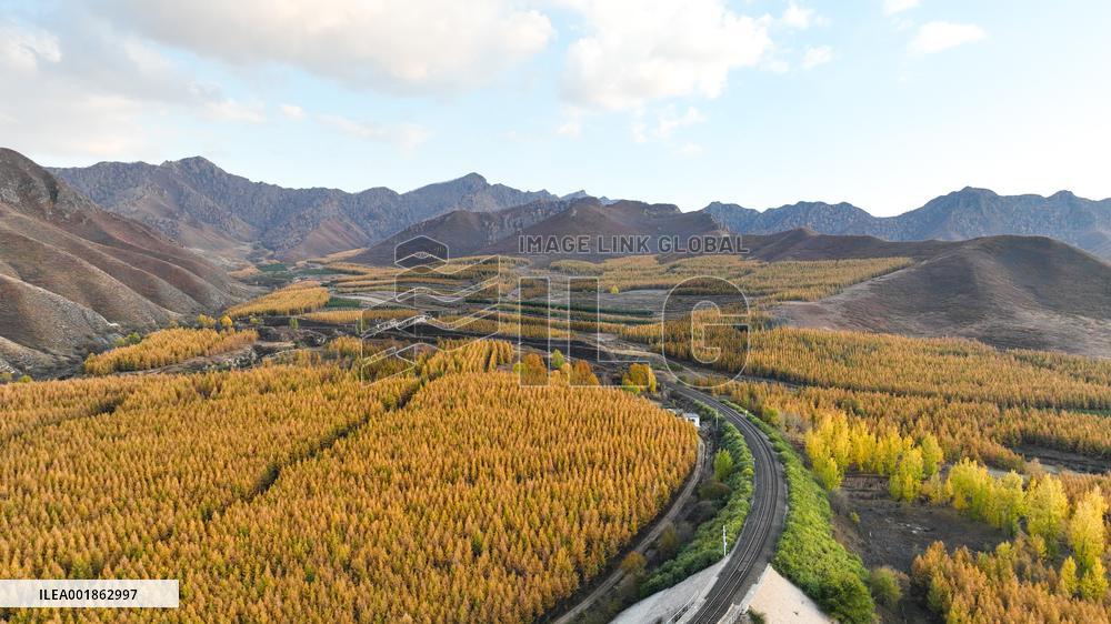 (SKYEYE) CHINA-INNER MONGOLIA-HEXIGTEN BANNER-AUTUMN-SCENERY (CN)