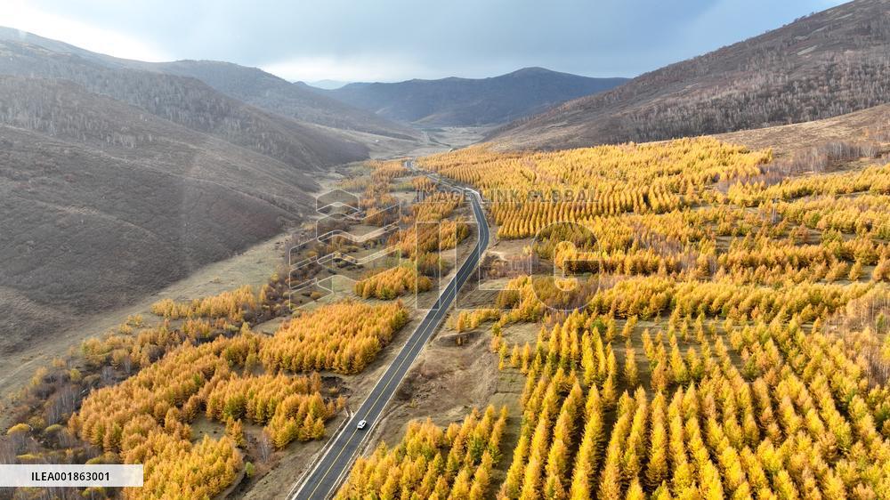 (SKYEYE) CHINA-INNER MONGOLIA-HEXIGTEN BANNER-AUTUMN-SCENERY (CN)