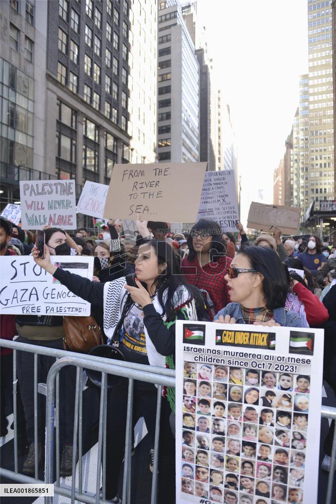 Pro-Palestinian protesters in NY