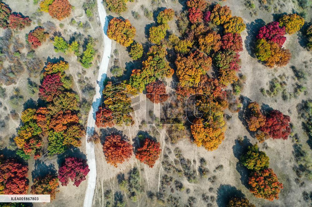 CHINA-INNER MONGOLIA-TONGLIAO-AUTUMN SCENERY (CN)