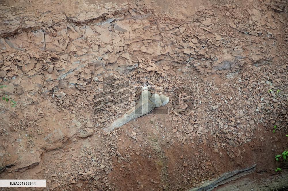 Dinosaur Research in China