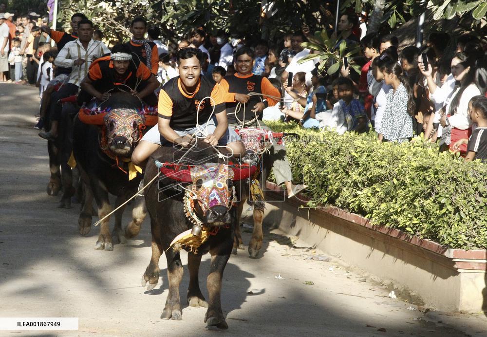 CAMBODIA-KANDAL-BUFFALO RACE