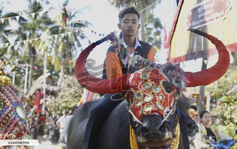CAMBODIA-KANDAL-BUFFALO RACE