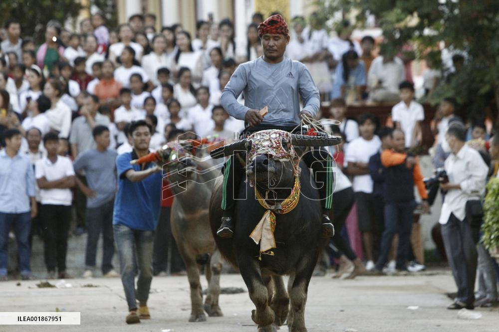 CAMBODIA-KANDAL-BUFFALO RACE