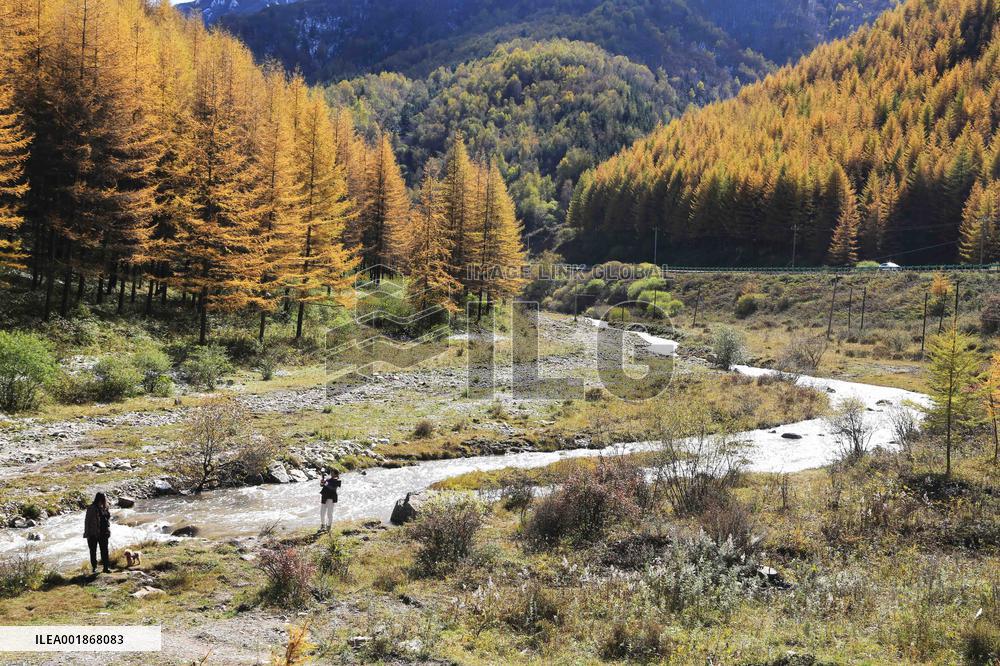 #CHINA-AUTUMN-SCENERY (CN)