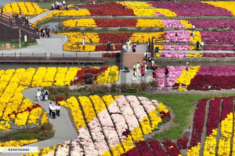 #CHINA-AUTUMN-SCENERY (CN)