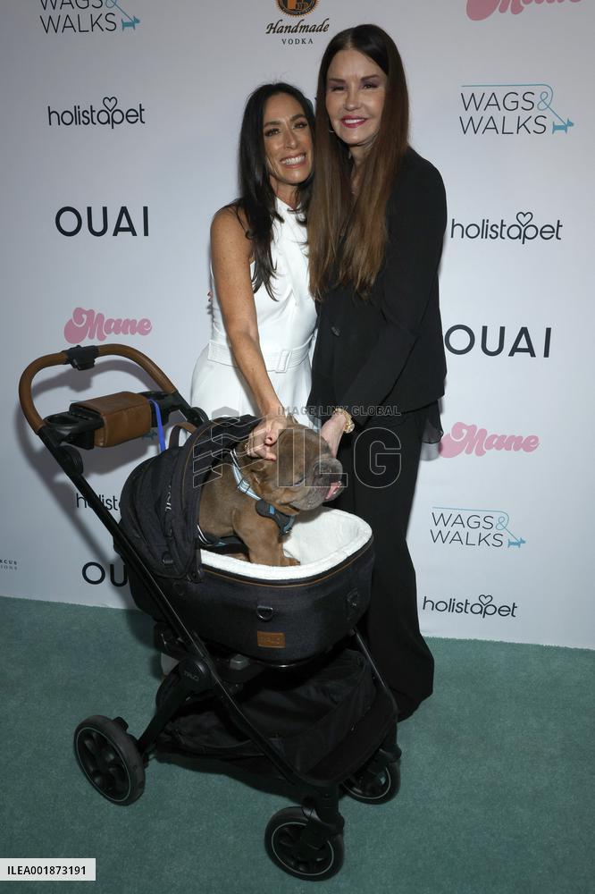 The Wags & Walks 12th Annual Benefit Gala - LA