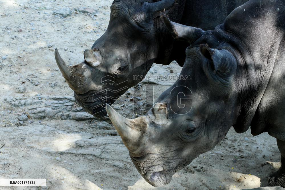 MYANMAR-NAY PYI TAW-WILDLIFE PARK