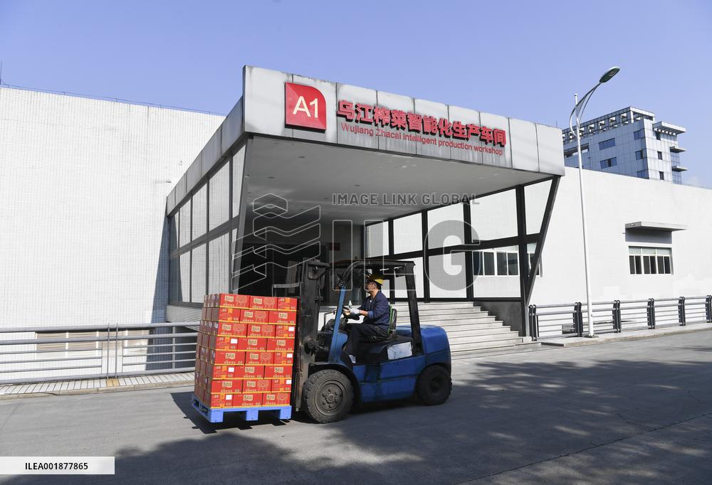 CHINA-CHONGQING-CHINESE PICKLE-PRODUCTION(CN)
